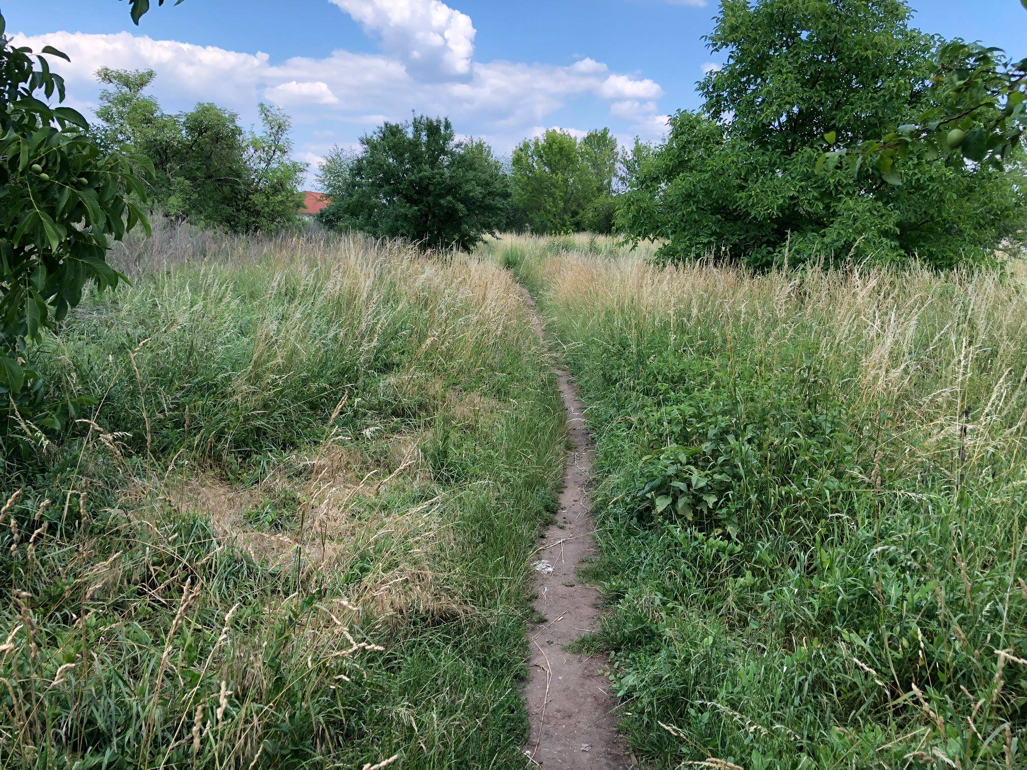 Brandýs - začátek stezky