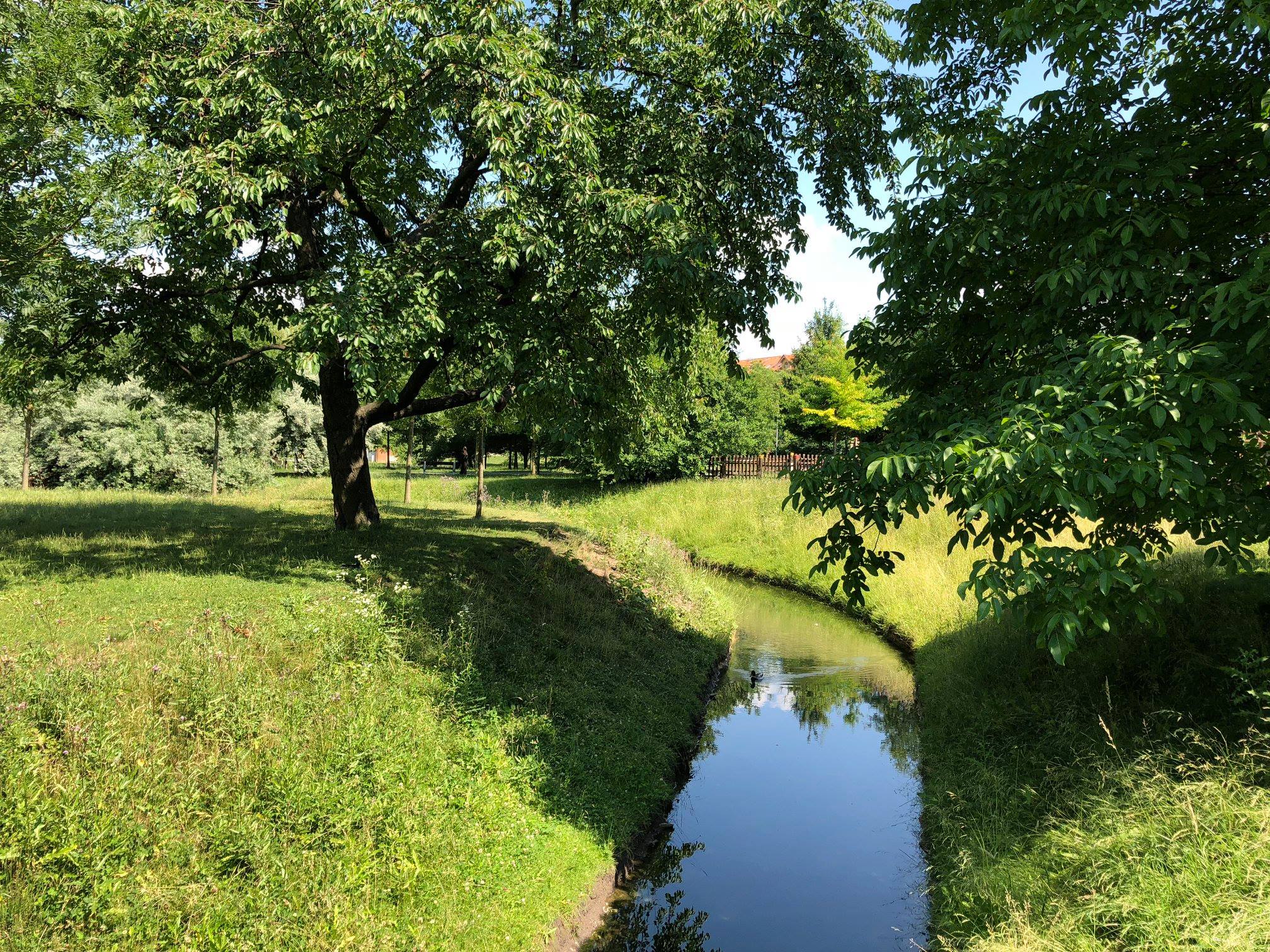 Kbely - Vyčištěný meandr Vinořského potoka