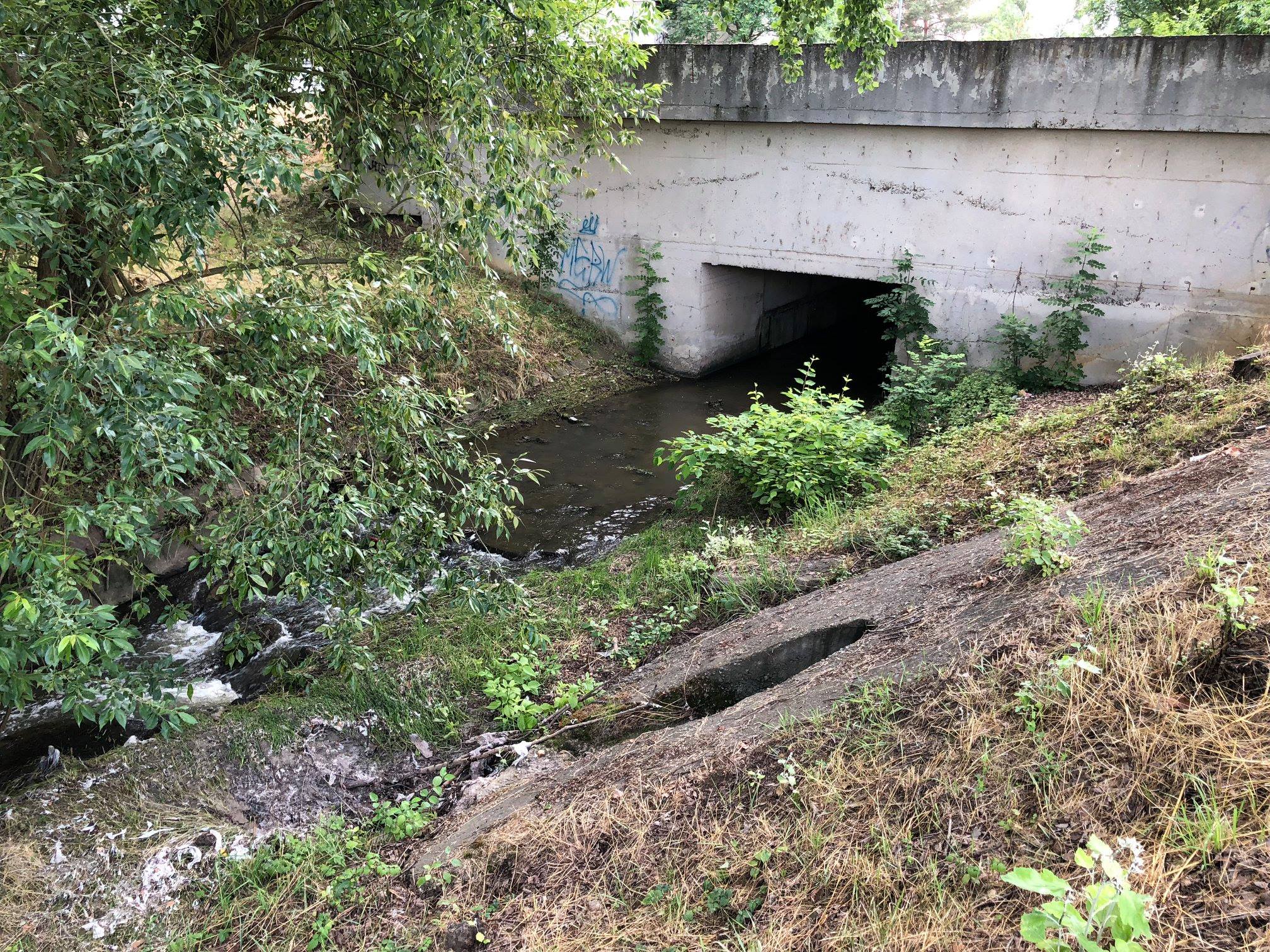 Brandýs - Vinořský potok pod nemocnicí v Brandýse potoka