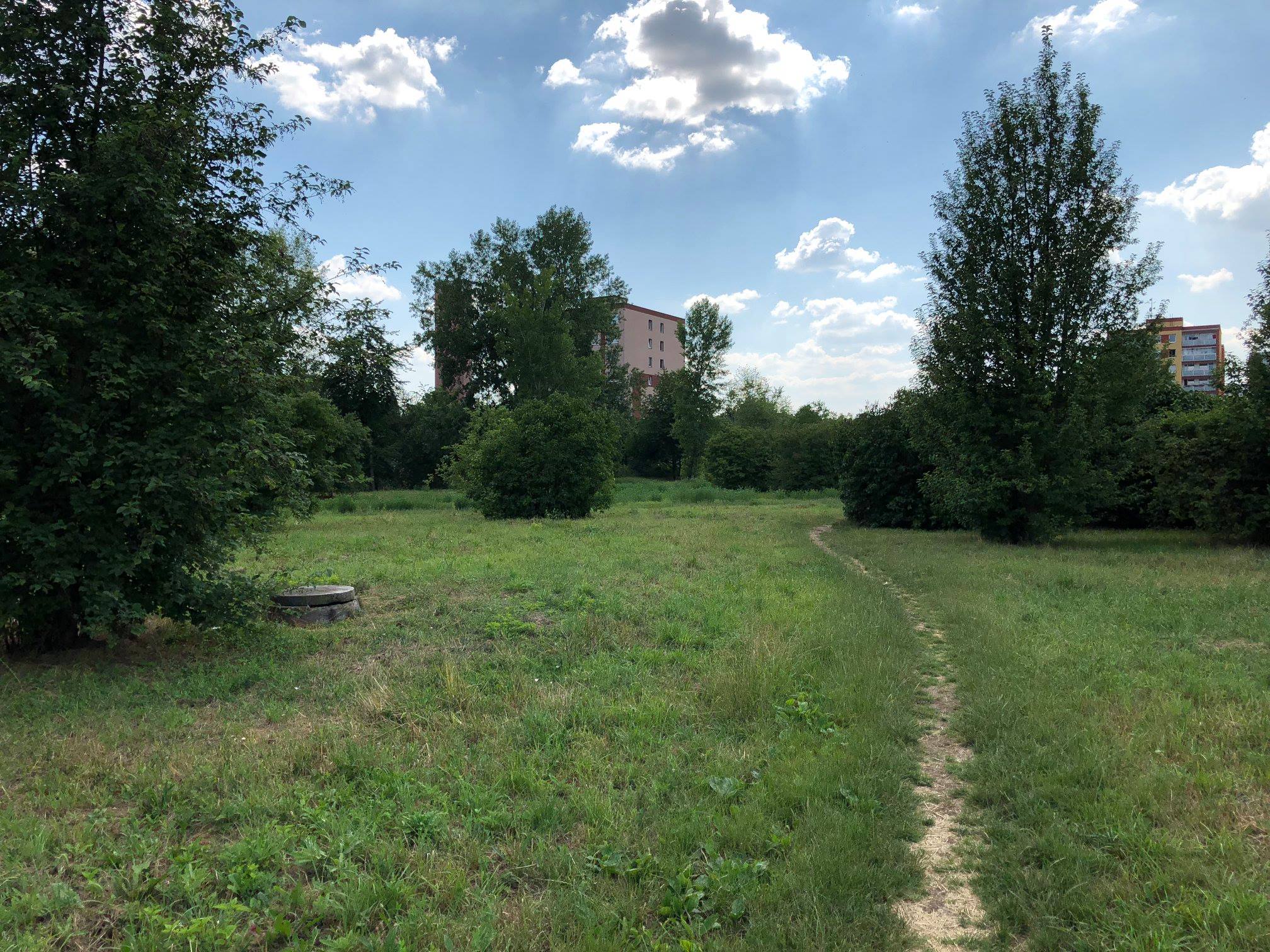 Brandýs - cesty v parku