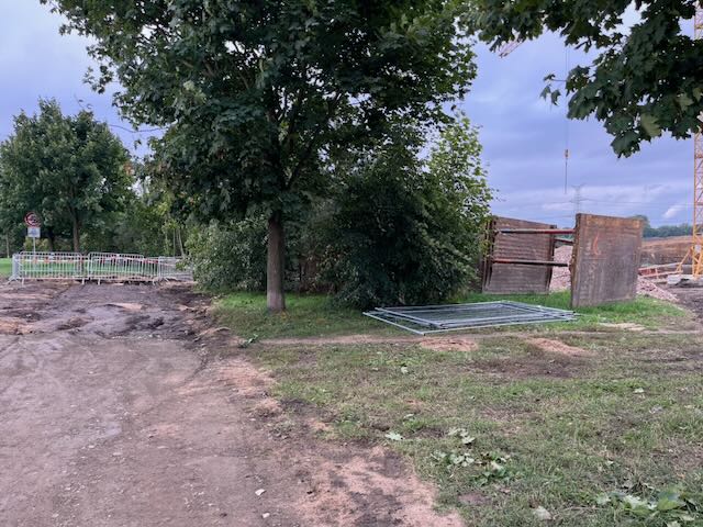 Proč je ve městě zase takový nepořádek?