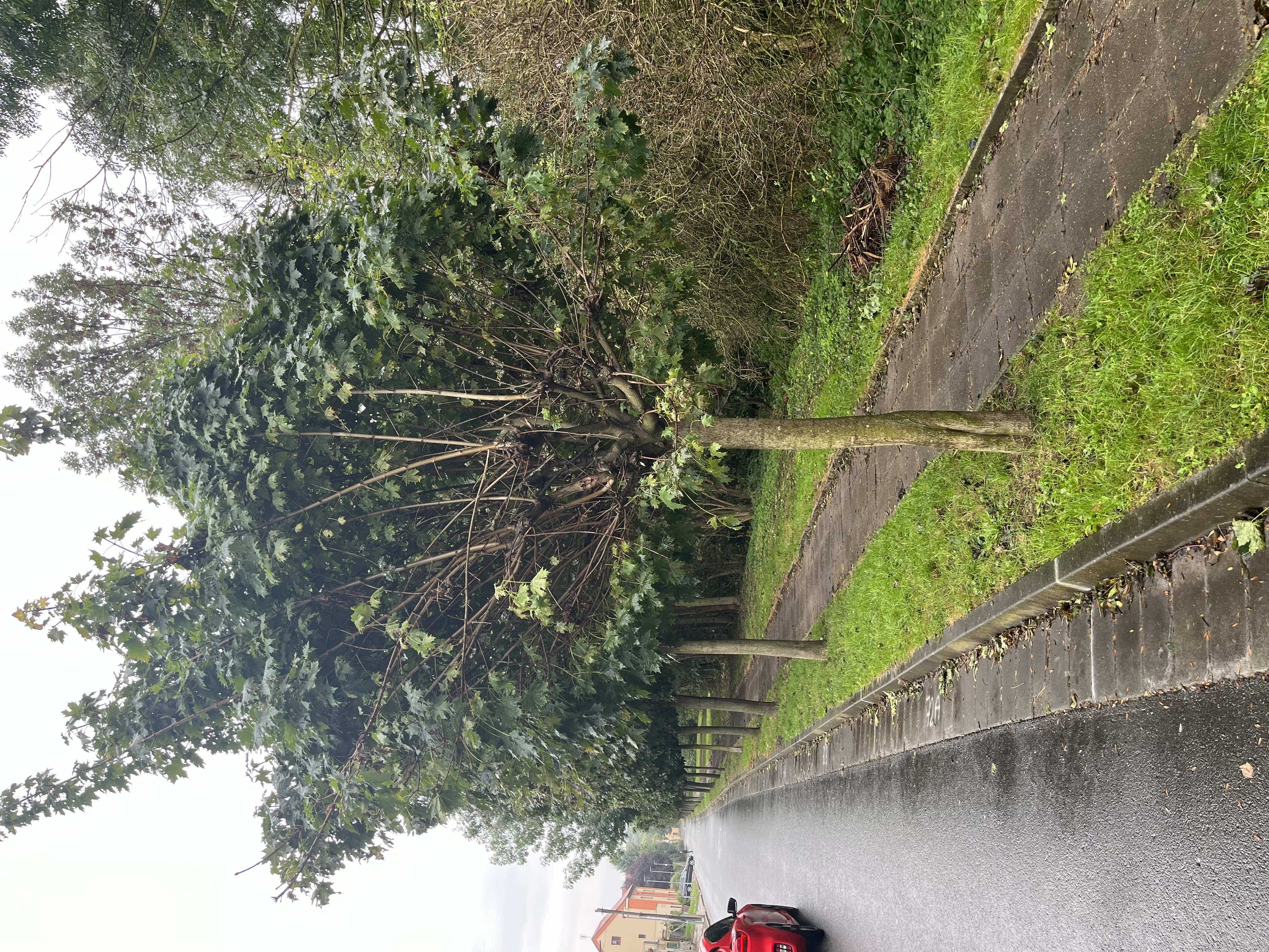 Místostarosti 15.10.2023: Když se stát pokouší dirigovat vyvážení odpadkových košů…