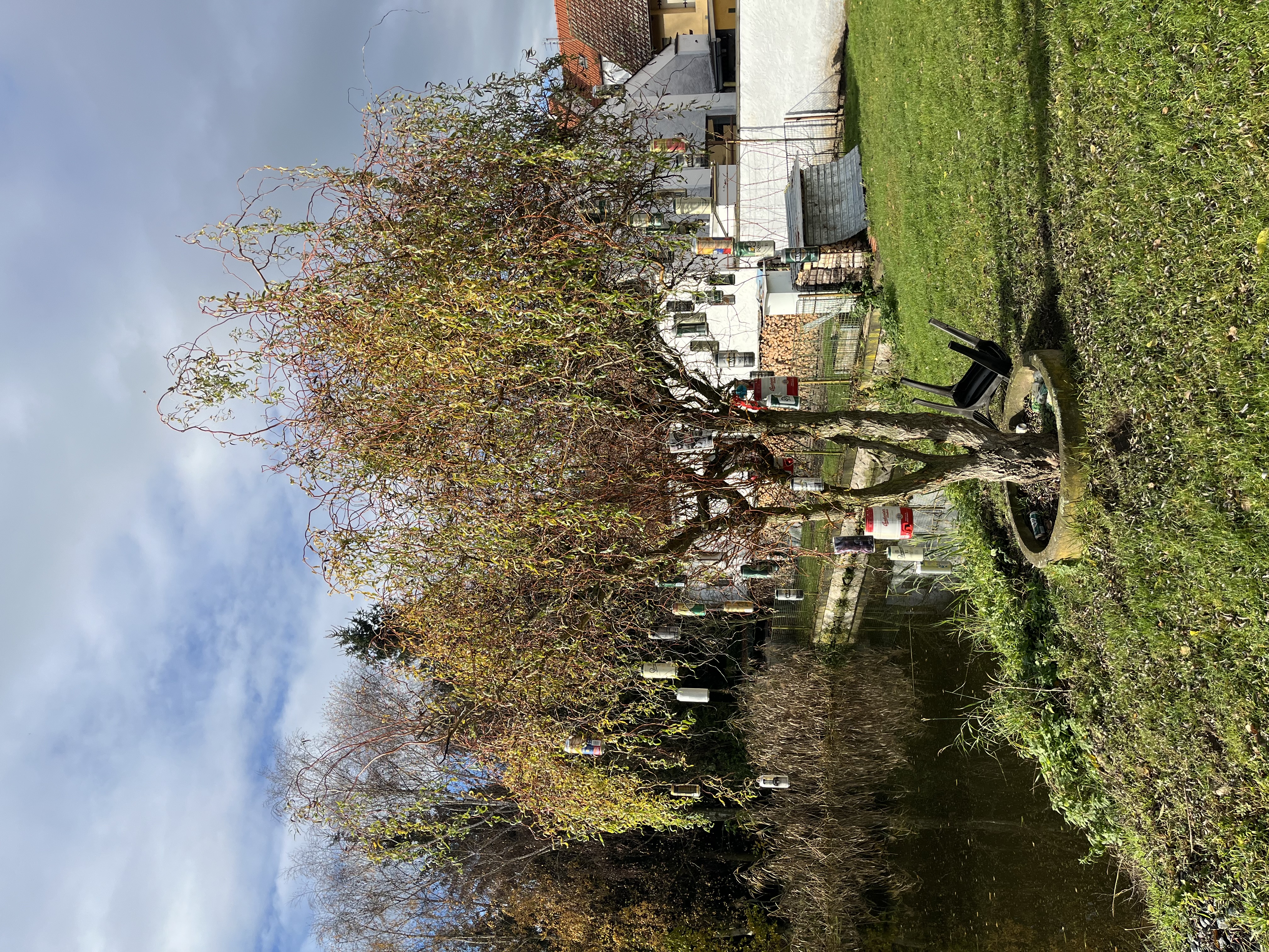 Místostarosti 19.11.2023: Kde jsou problémy v dotačním systému?