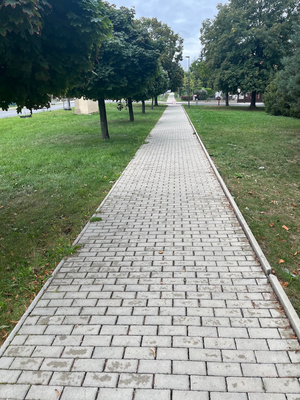 Místostarosti 24.9.2023: Kolem provizoria